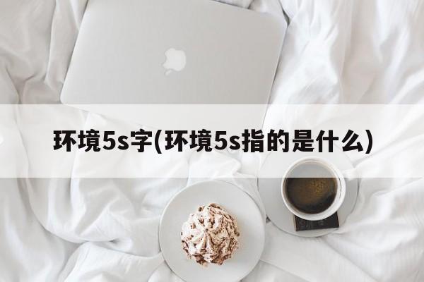 环境5s字(环境5s指的是什么)